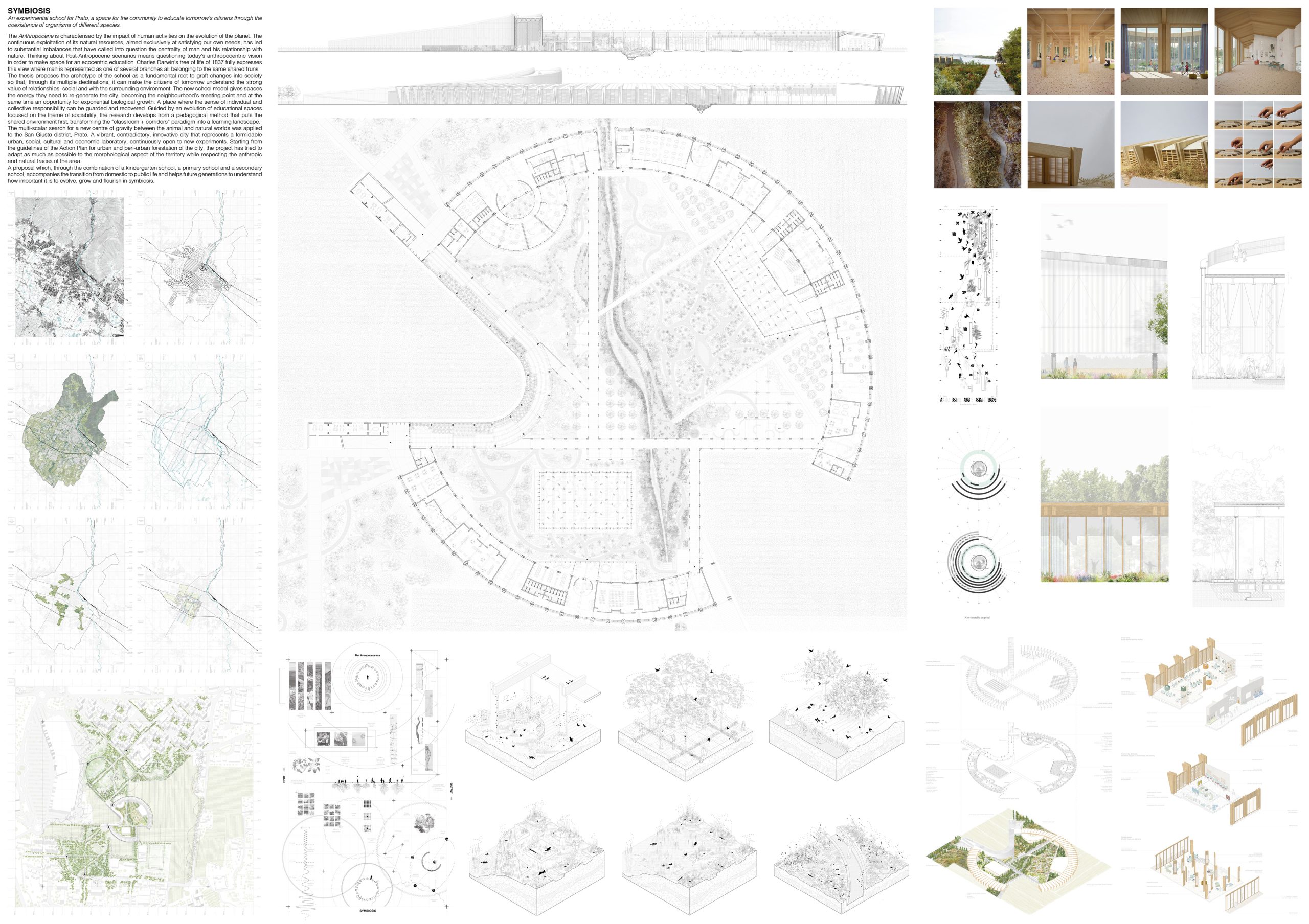 SYMBIOSIS: An experimental school for Prato, a space for the community to educate tomorrow’s citizens through the coexistence of organisms of different species. Board