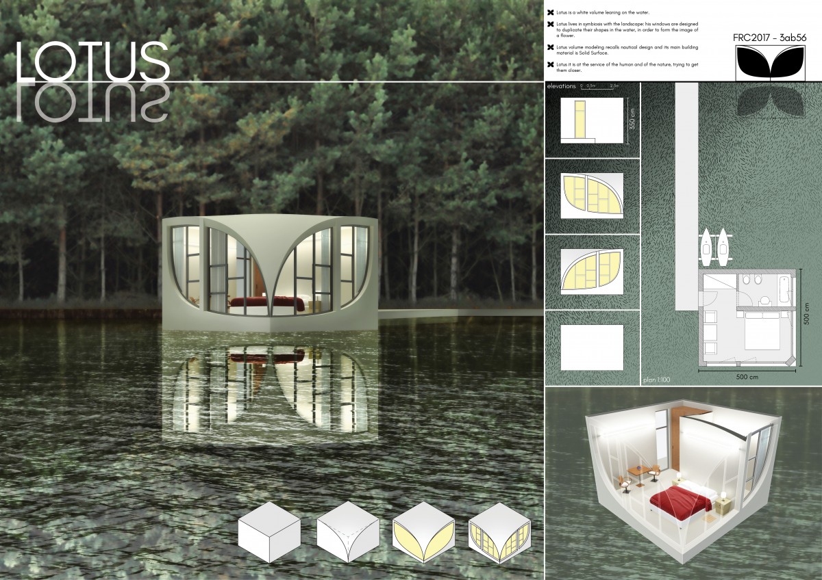 Lotus Board